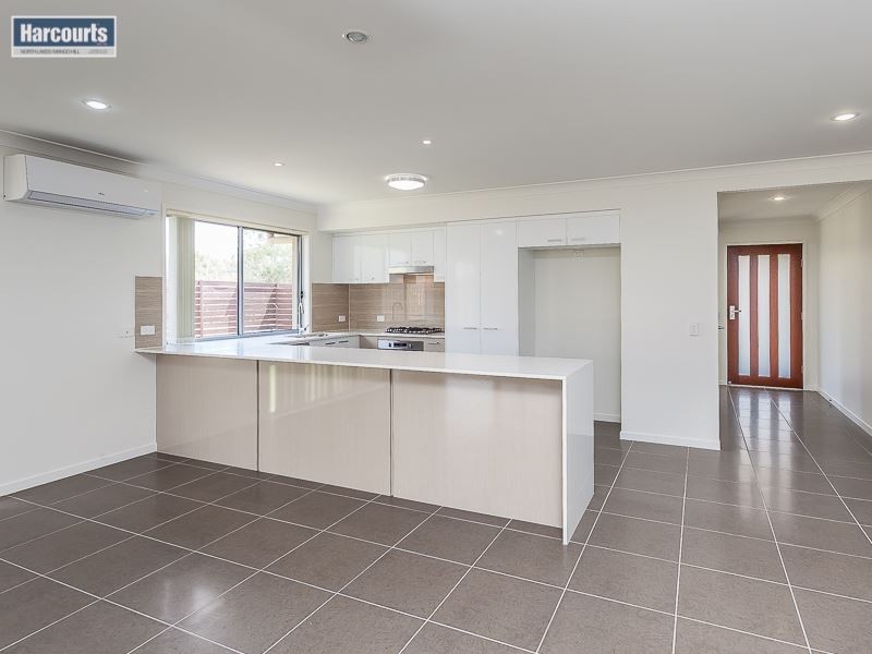 101 Park Vista Drive, Mango Hill QLD 4509