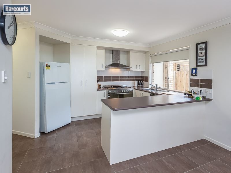 41 Daintree Circuit, North Lakes QLD 4509