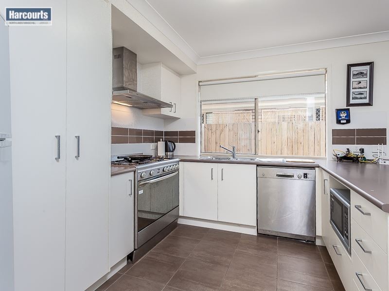 41 Daintree Circuit, North Lakes QLD 4509