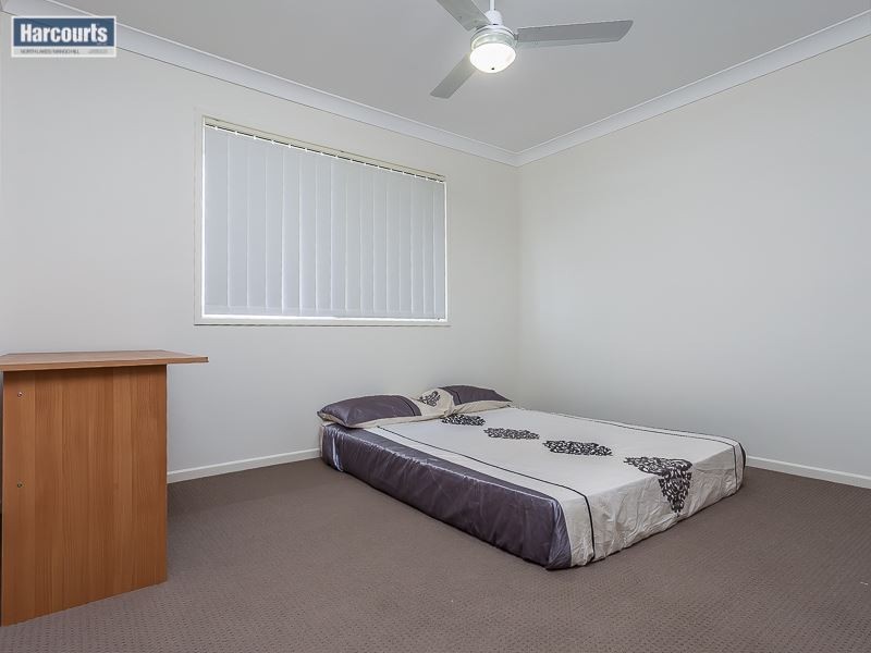 41 Daintree Circuit, North Lakes QLD 4509
