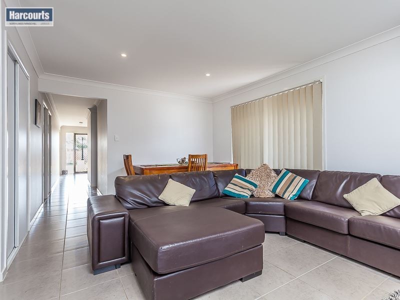 17 Madison Avenue, North Lakes QLD 4509
