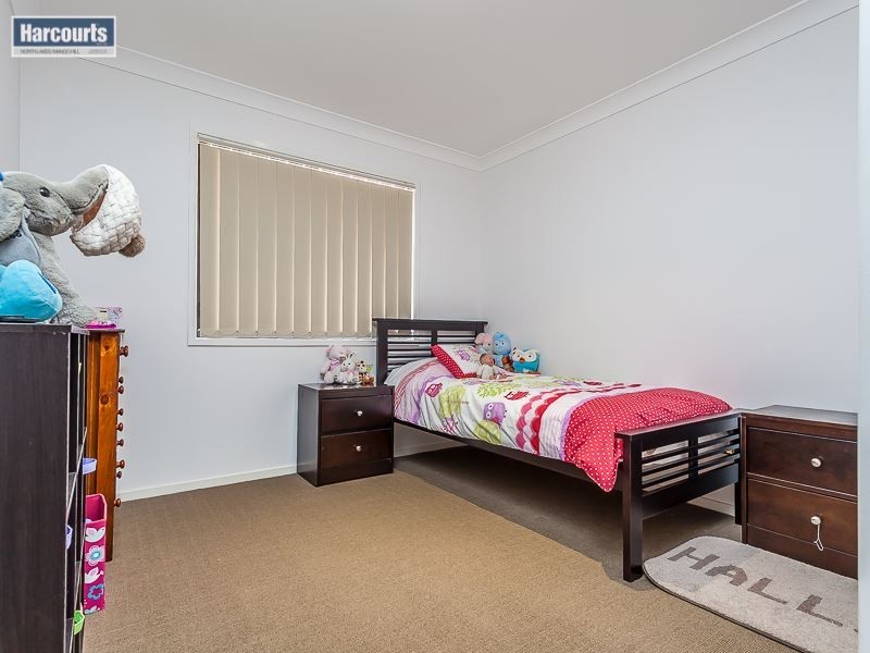 17 Madison Avenue, North Lakes QLD 4509
