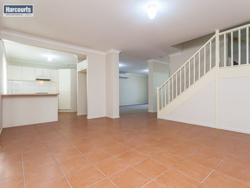 36 Conondale Circuit, Kallangur QLD 4503
