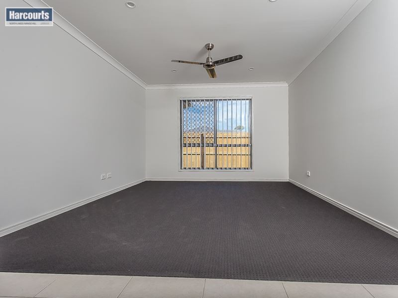 21 Neitz Street, Morayfield QLD 4506