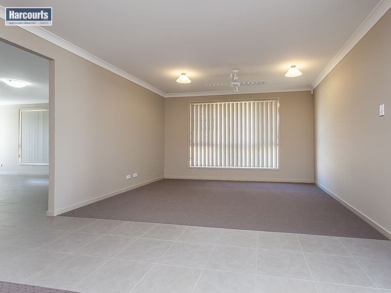 29 Abercrombie Street, Mango Hill QLD 4509