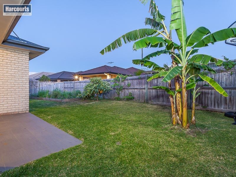 7 Silkyoak Court, North Lakes QLD 4509