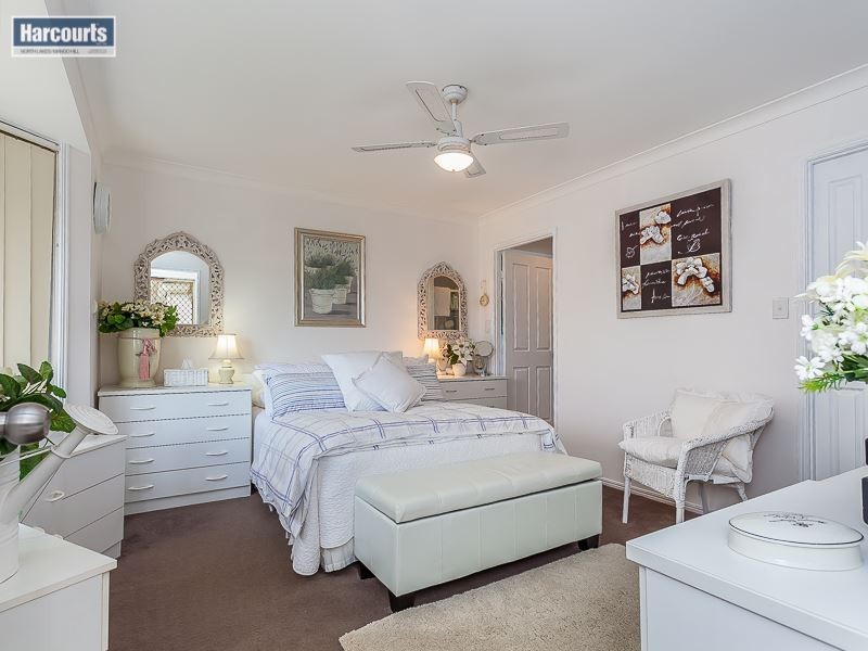 24 Jabiru Drive, Mango Hill QLD 4509