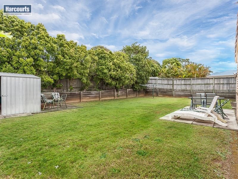 24 Jabiru Drive, Mango Hill QLD 4509