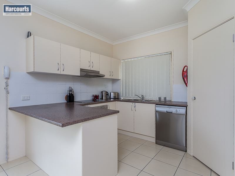 36 Numbat Street, North Lakes QLD 4509
