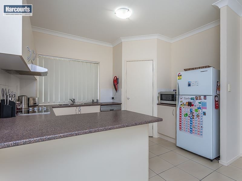 36 Numbat Street, North Lakes QLD 4509