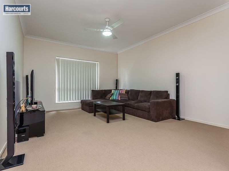 36 Numbat Street, North Lakes QLD 4509