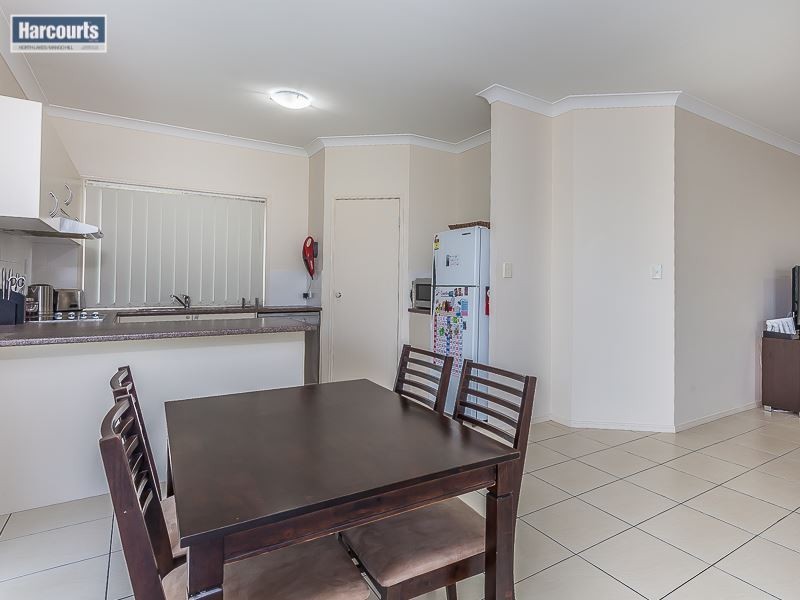 36 Numbat Street, North Lakes QLD 4509