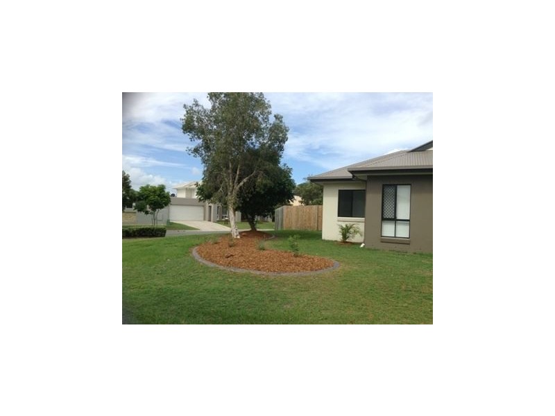 10 Dingo Street, North Lakes QLD 4509