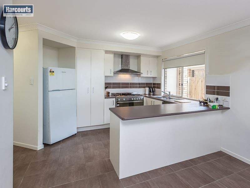 41 Daintree circuit, North Lakes QLD 4509