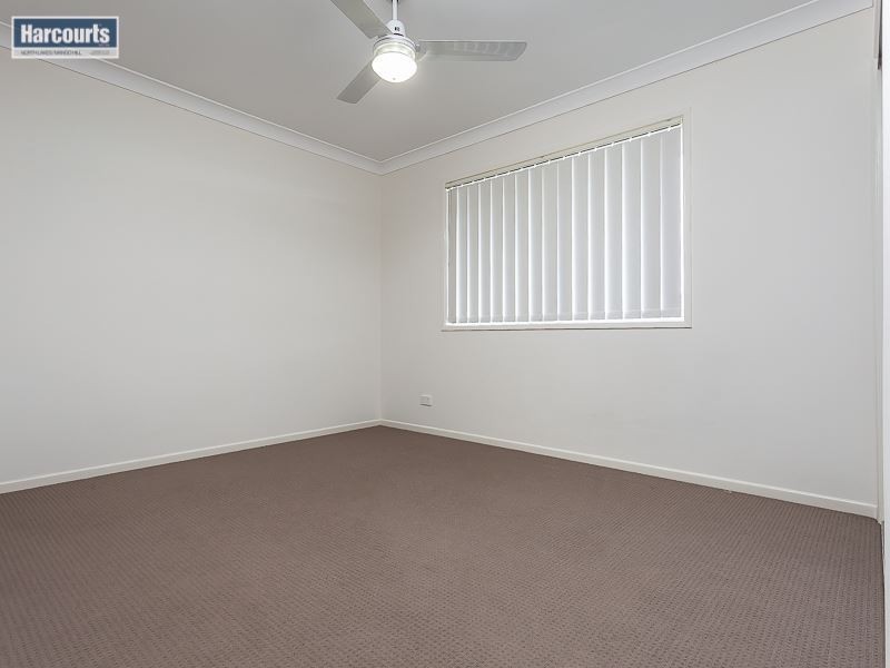 41 Daintree circuit, North Lakes QLD 4509