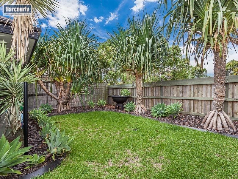 34 Elkington Circuit, North Lakes QLD 4509