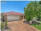 8 Whitfield Crescent, North Lakes QLD 4509