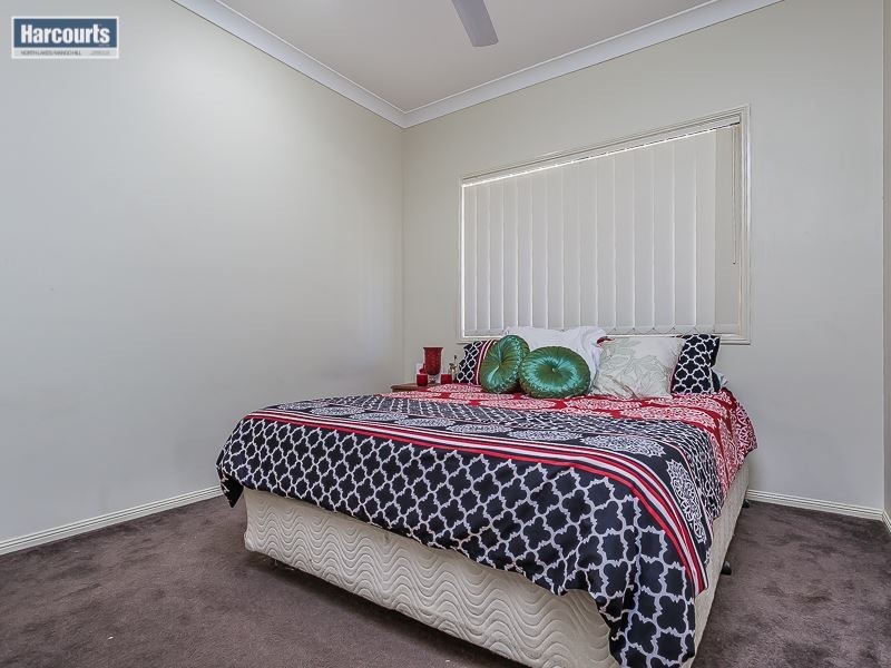 3 Dusky Street, North Lakes QLD 4509