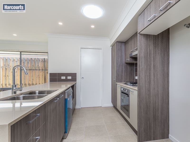 17 Macadamia Street, Mango Hill QLD 4509