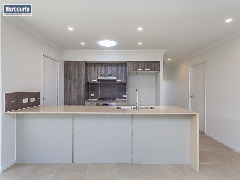 17 Macadamia Street, Mango Hill QLD 4509