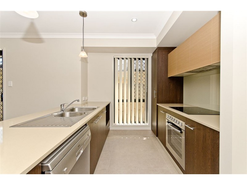 38 Cowen Terrace, North Lakes QLD 4509