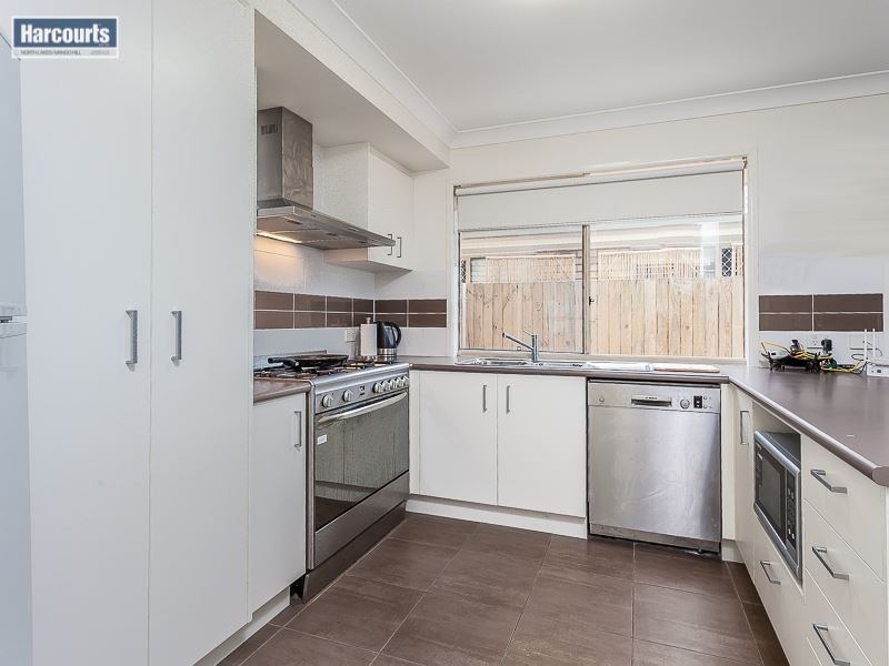 41 Daintree circuit, North Lakes QLD 4509