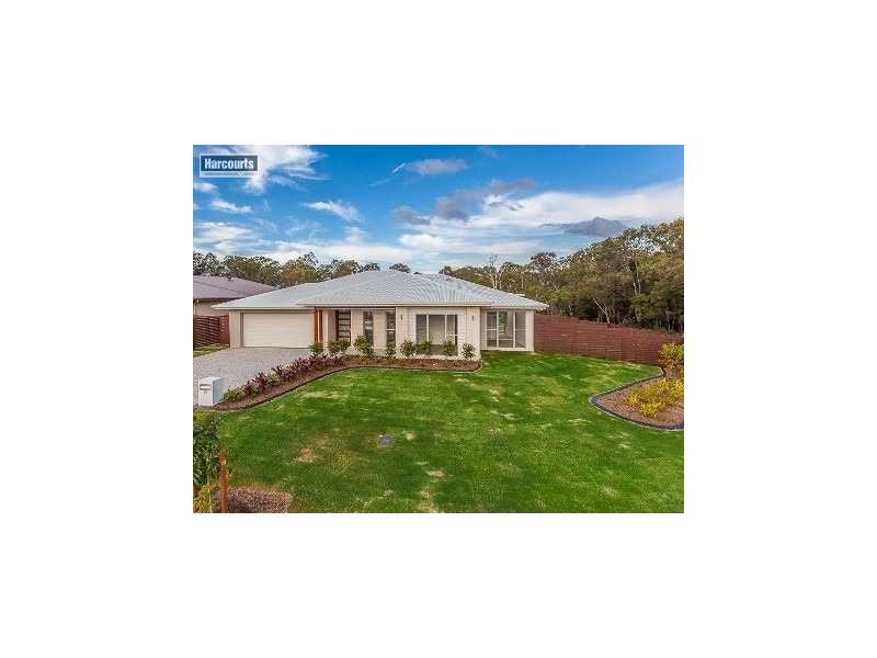 21 Morgan, Nudgee QLD 4014