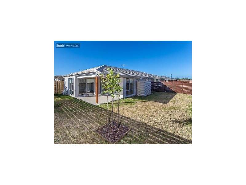 16 Sunscape Street, Mango Hill QLD 4509