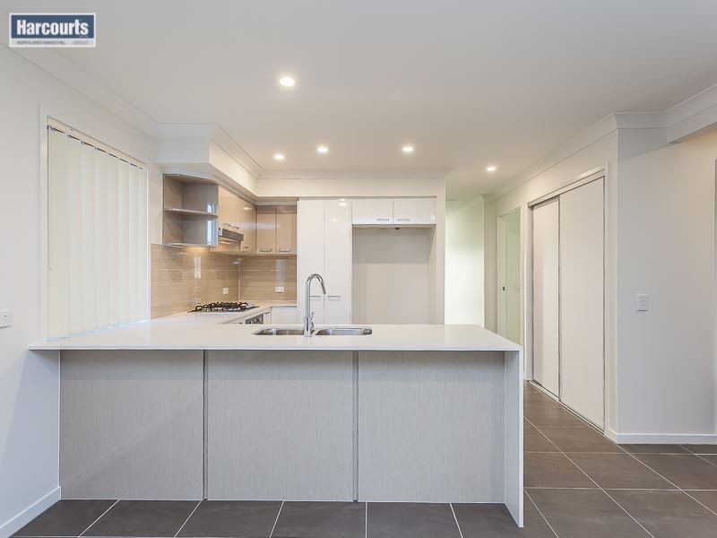 23 Grassway Street, Mango Hill QLD 4509