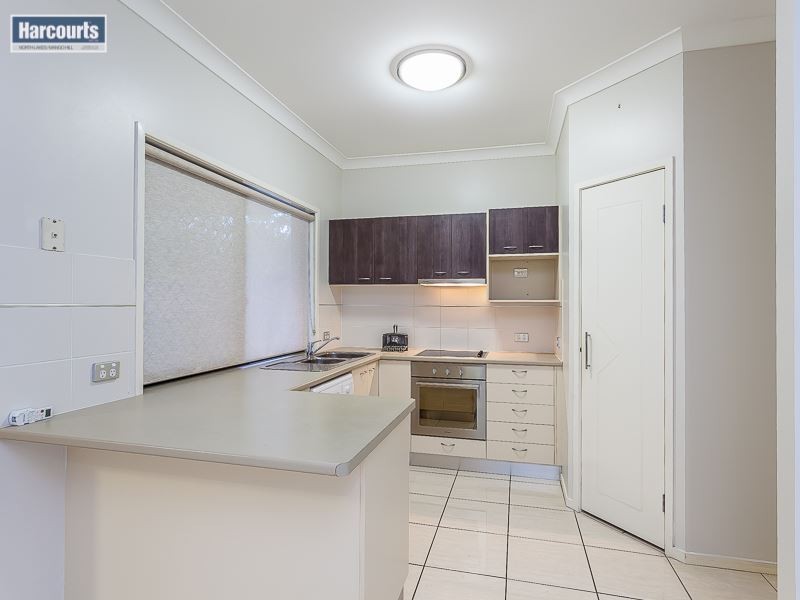 36 Kurrajong Circuit, North Lakes QLD 4509