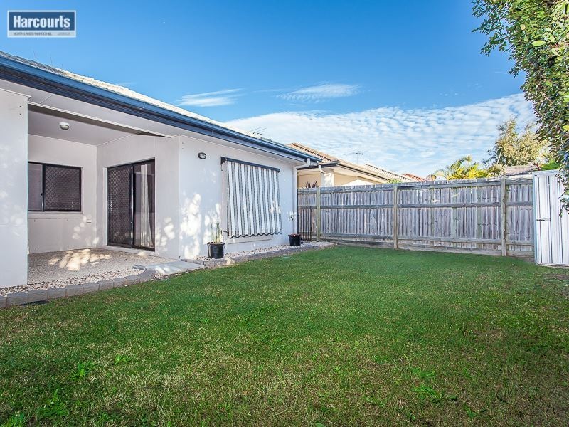 36 Kurrajong Circuit, North Lakes QLD 4509
