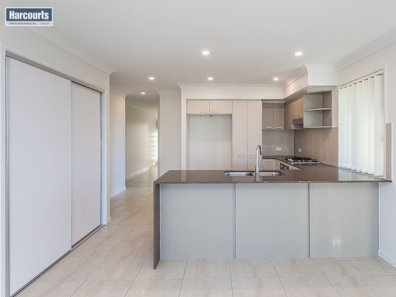 17 Grassway Street, Mango Hill QLD 4509