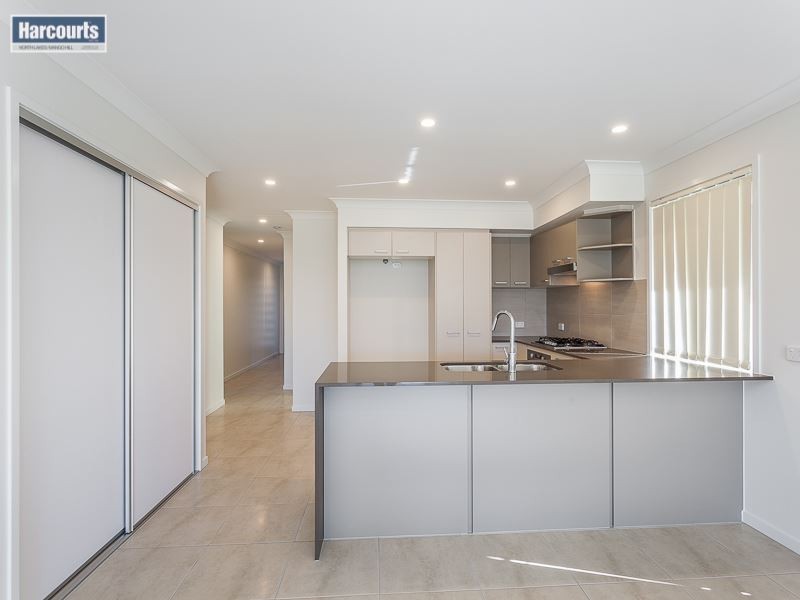 25 Grassway Street, Mango Hill QLD 4509