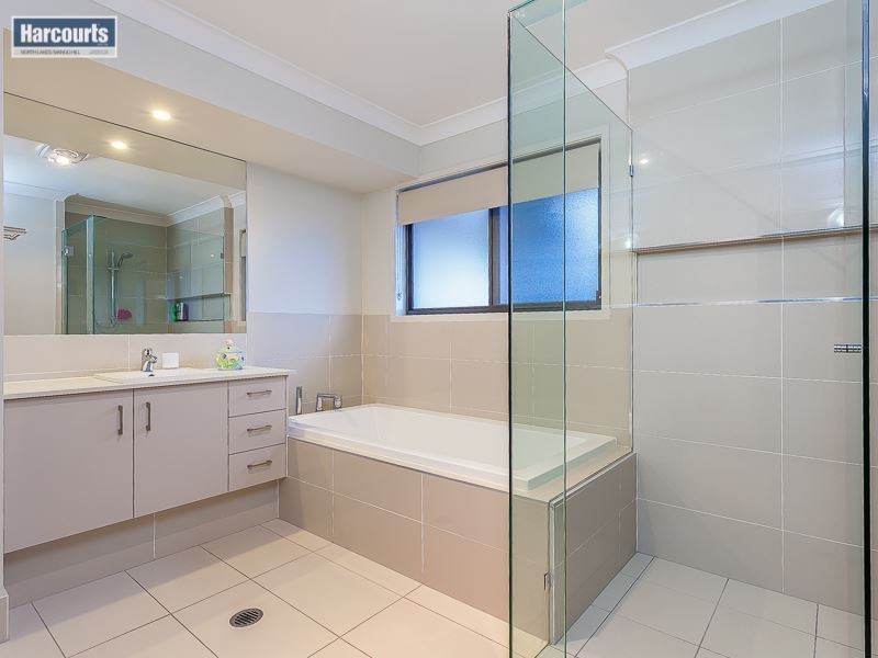14 Hobby Court, Mango Hill QLD 4509