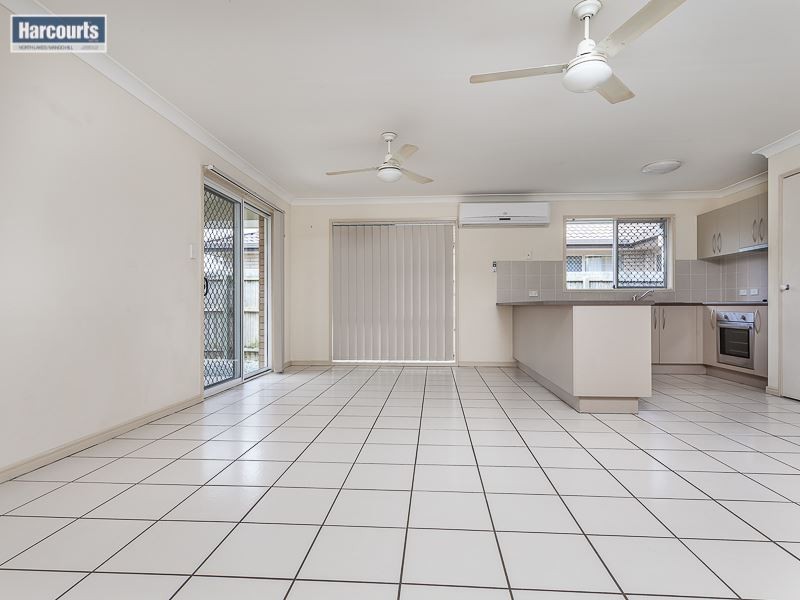 60 McGahey Street, Rothwell QLD 4022