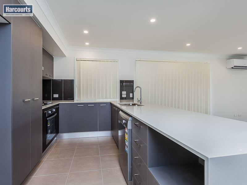 11 Parkhaven Street, Mango Hill QLD 4509