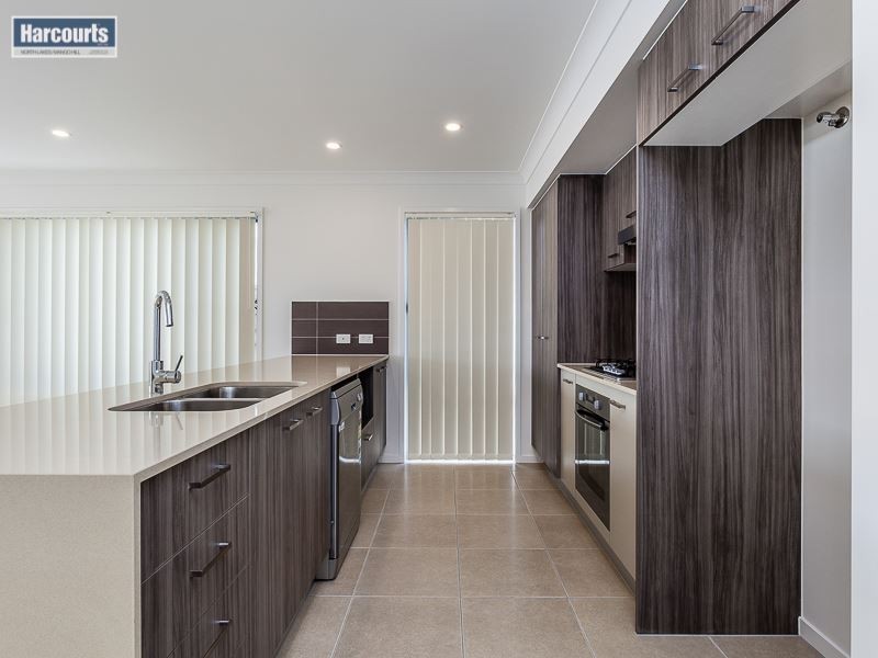 20 Amaranthine Street, Mango Hill QLD 4509