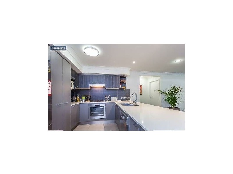 5 Glengrove Circuit, Mango Hill QLD 4509