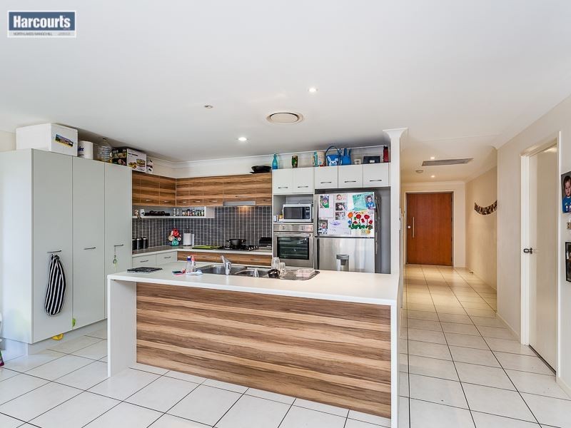 36 Ulysses Street, Kallangur QLD 4503
