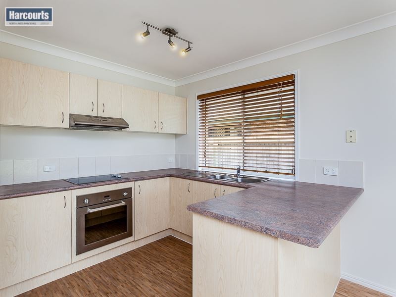 59 Grampion Circuit, North Lakes QLD 4509