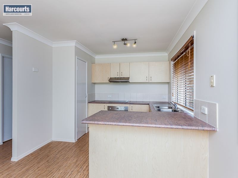 59 Grampion Circuit, North Lakes QLD 4509