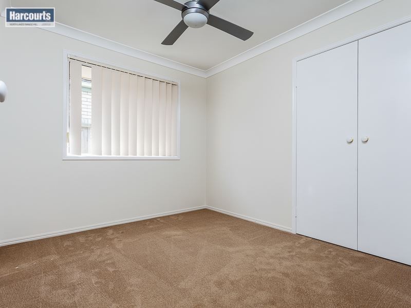 59 Grampion Circuit, North Lakes QLD 4509