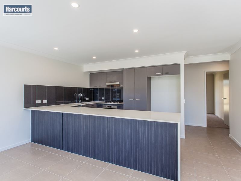 53 Parkhaven Street, Mango Hill QLD 4509