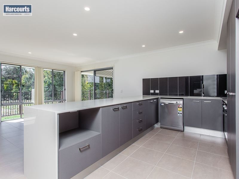 53 Parkhaven Street, Mango Hill QLD 4509