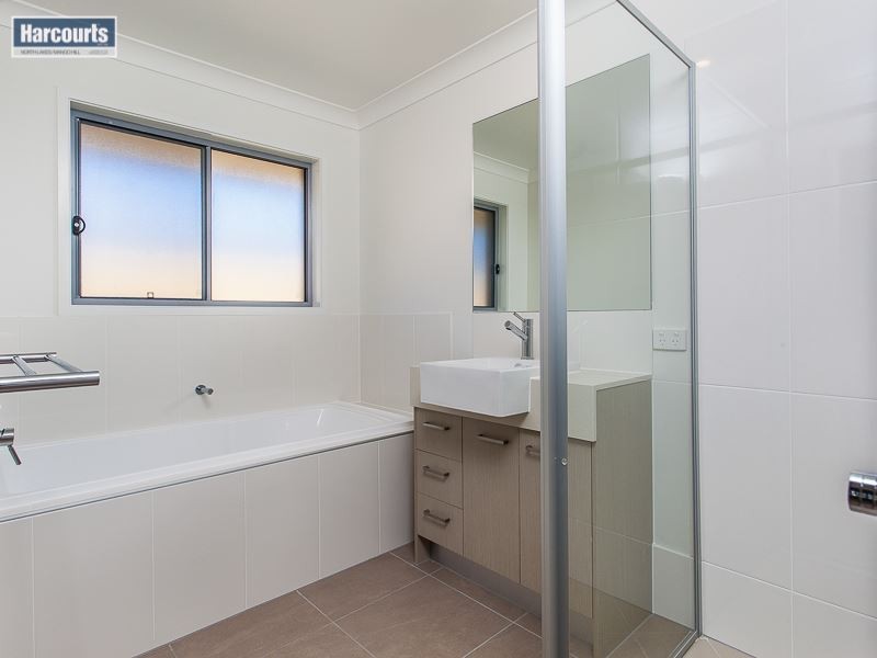 53 Parkhaven Street, Mango Hill QLD 4509