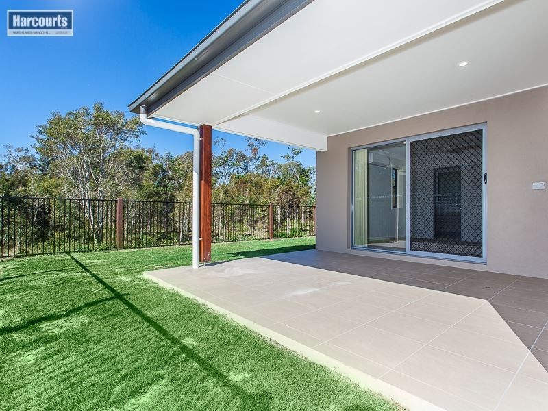 53 Parkhaven Street, Mango Hill QLD 4509