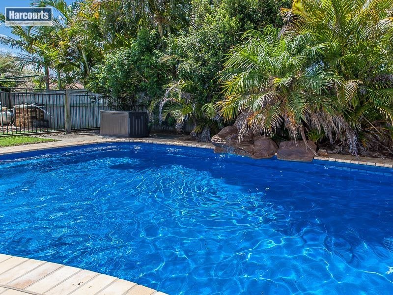 6 Lamb Street, North Lakes QLD 4509