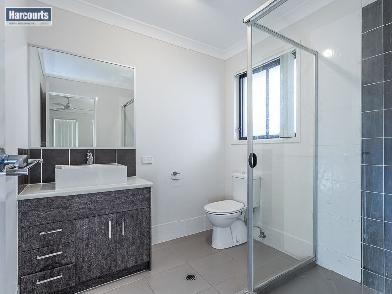 19 Madison Avenue, North Lakes QLD 4509