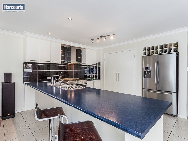 19 Gardenia Parade, North Lakes QLD 4509