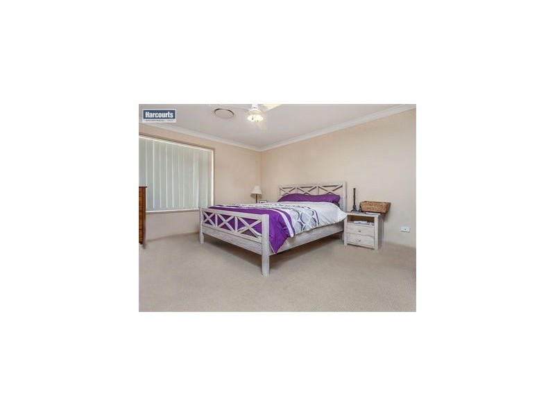3 Saturn Court, Mango Hill QLD 4509